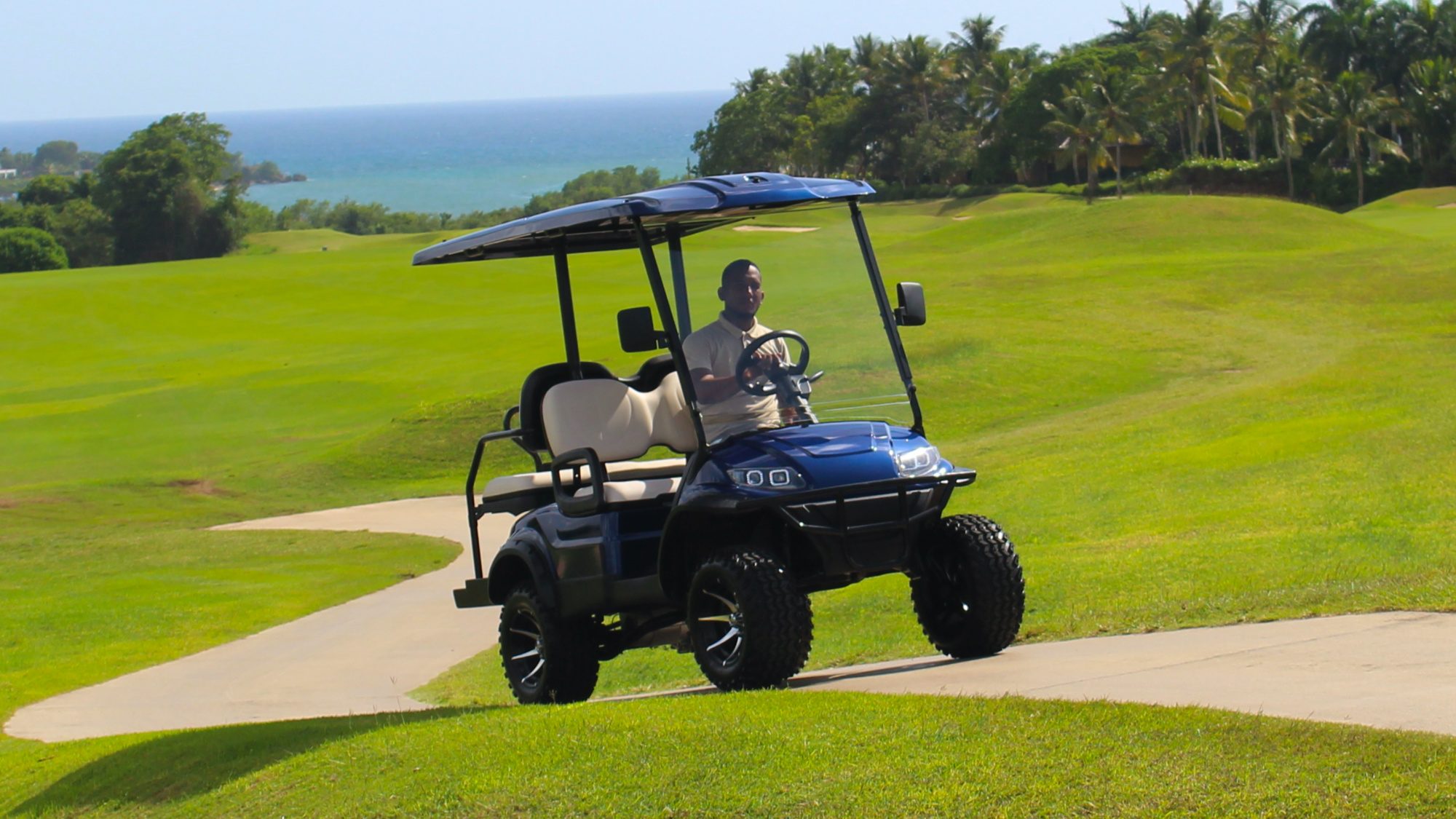 How much does a golf cart cost? 