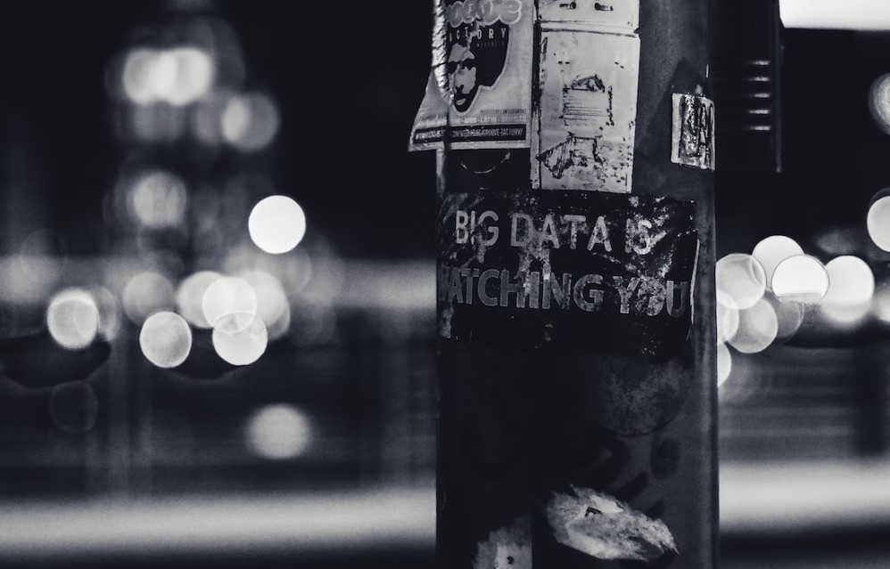 Digital Privacy in the Age of Big Data